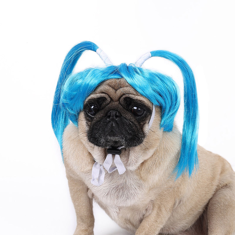 Funny Pet Wig