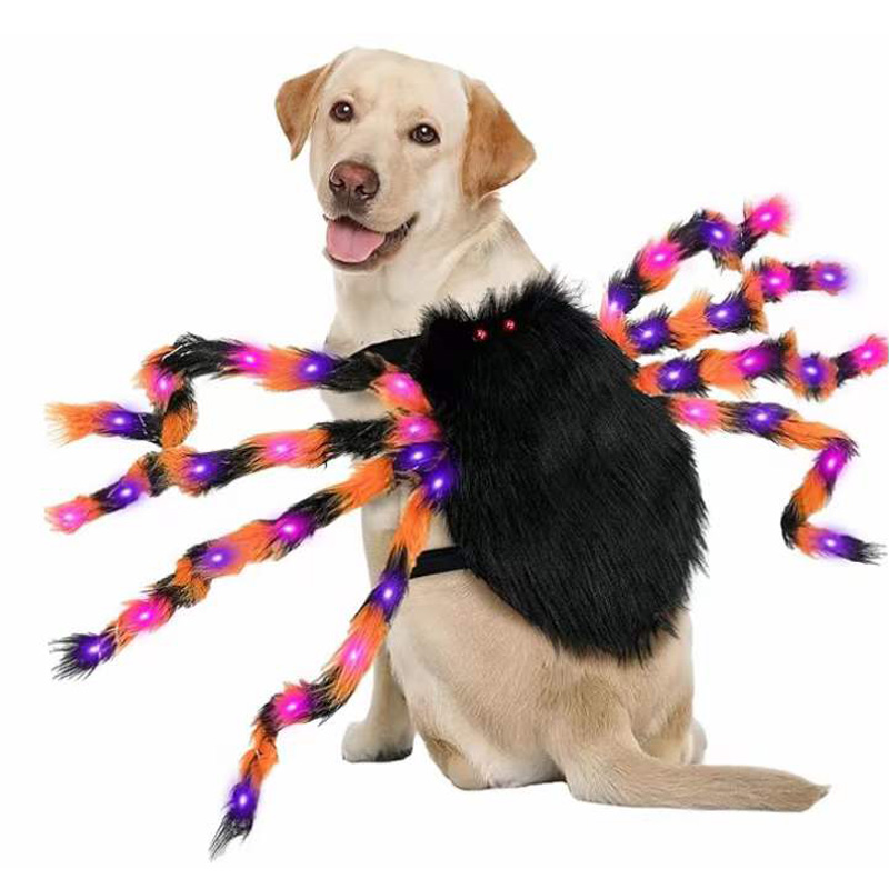 Pet Spider Costumes