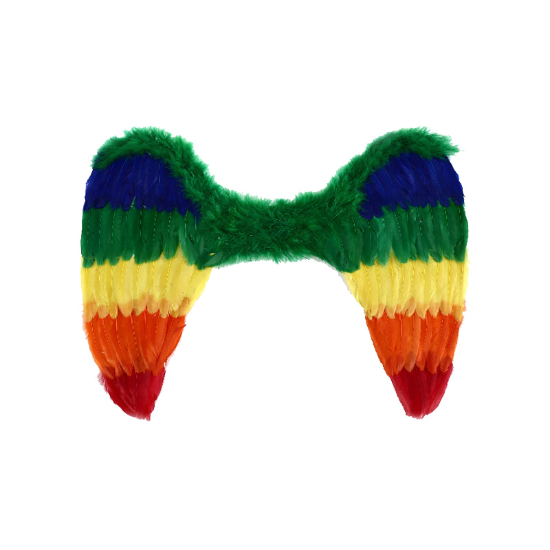 Rainbow Feather Angel Wings Costume